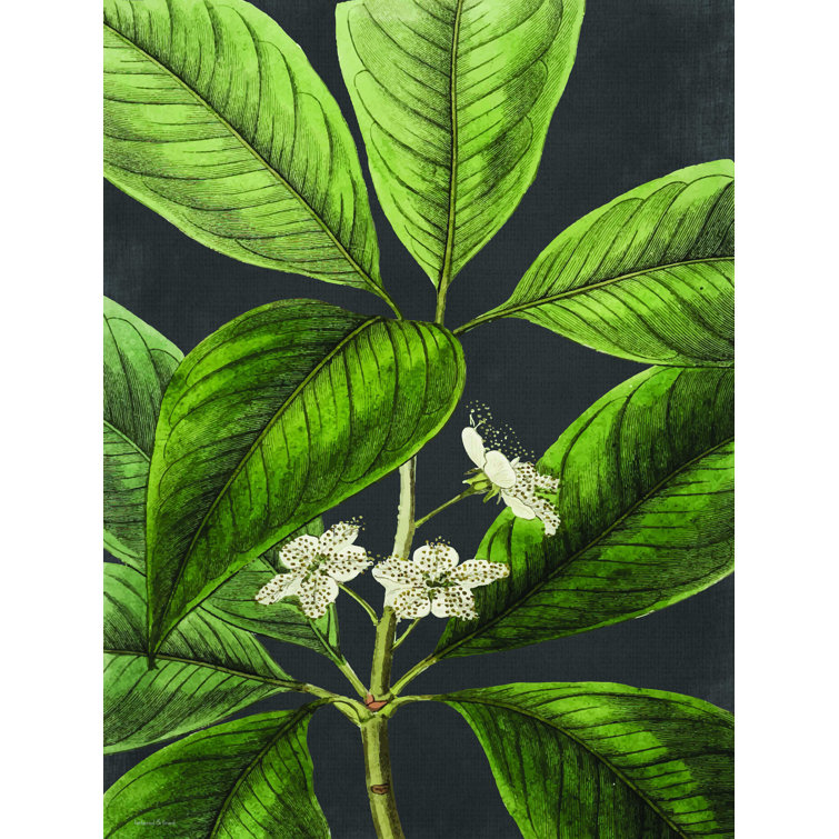 Bayou Breeze Grand Leaves Wrapped Canvas Print Wayfair